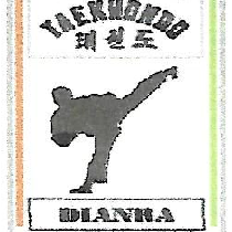 TAEKWANDO CLUB DE DIANRA
